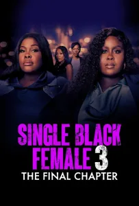 Одинокая темнокожая женщина: Последняя глава